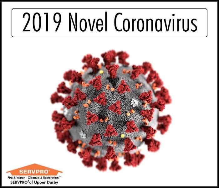 Ultrastructural morphology exhibited by coronaviruses
