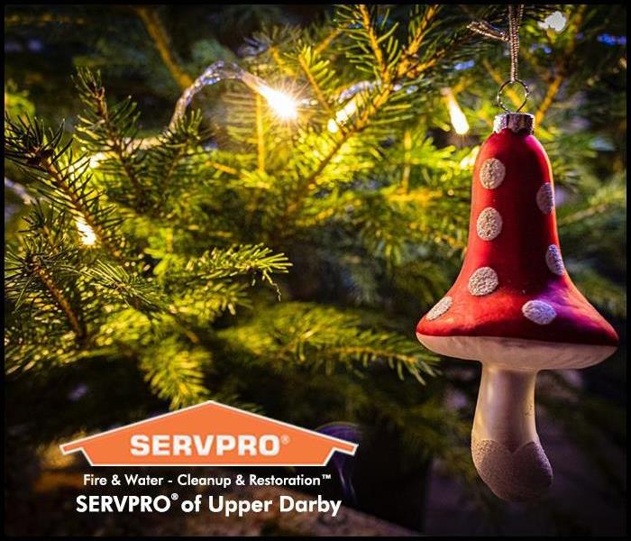 Christmas tree with a mushroom ornament 