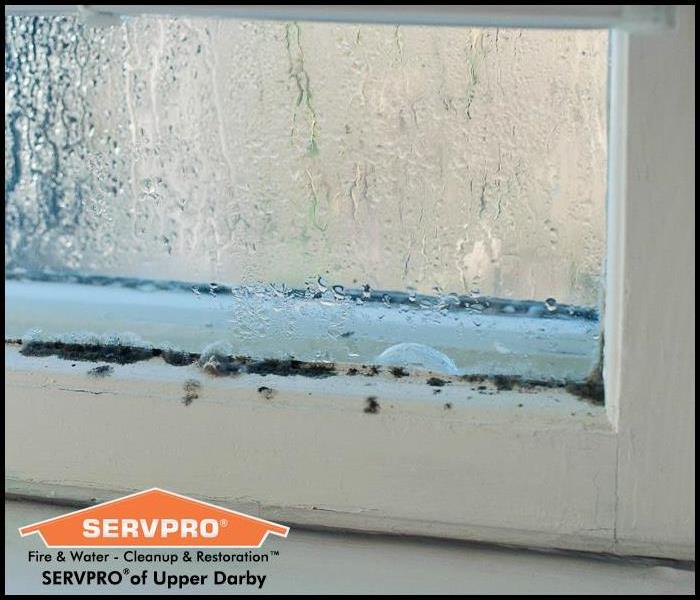 Close up of a white window sill with condensation and mold growing along the pane and the frame