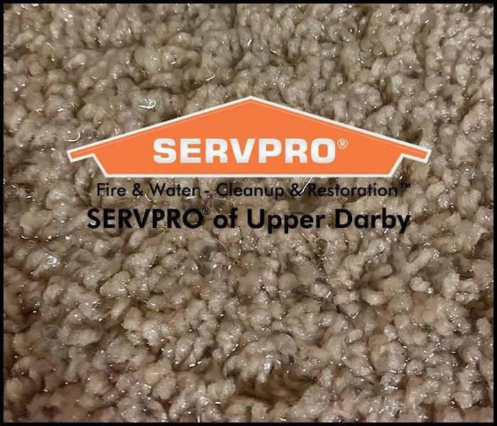 Image of a wet tan carpet with the SERVPRO logo